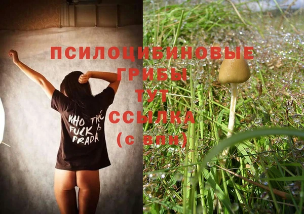 spice Абдулино