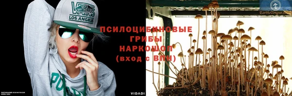 PSILOCYBIN Пестово