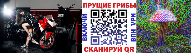 Псилоцибиновые грибы GOLDEN TEACHER  Юхнов 